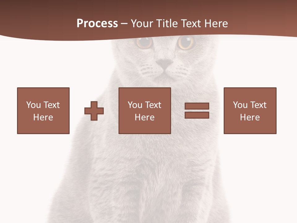 Beautiful Tail Feline PowerPoint Template
