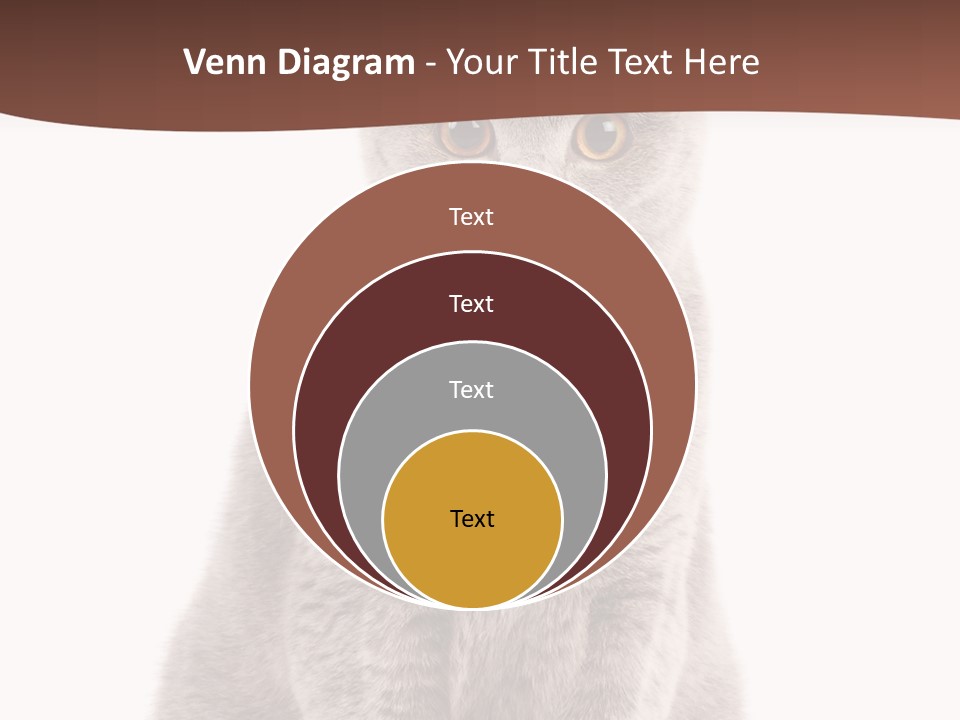 Beautiful Tail Feline PowerPoint Template