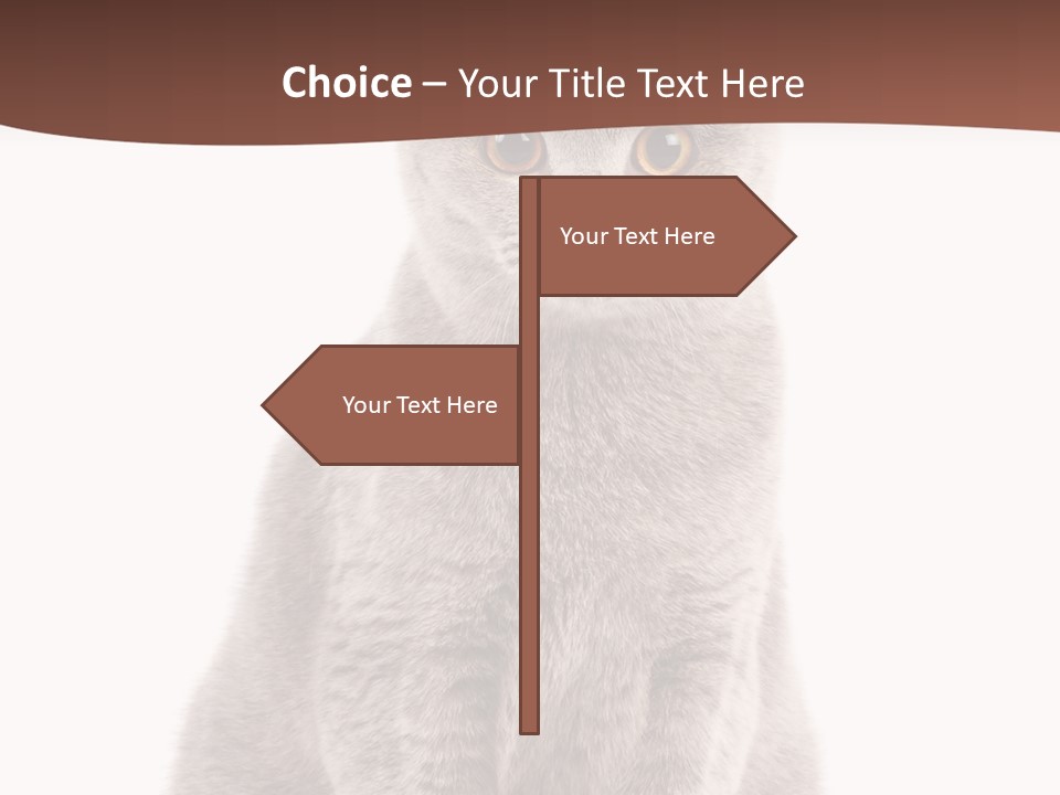 Beautiful Tail Feline PowerPoint Template