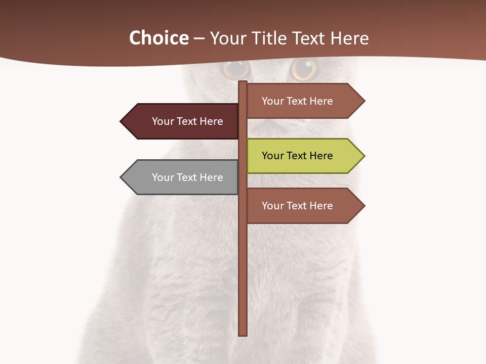 Beautiful Tail Feline PowerPoint Template