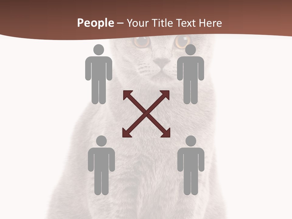 Beautiful Tail Feline PowerPoint Template