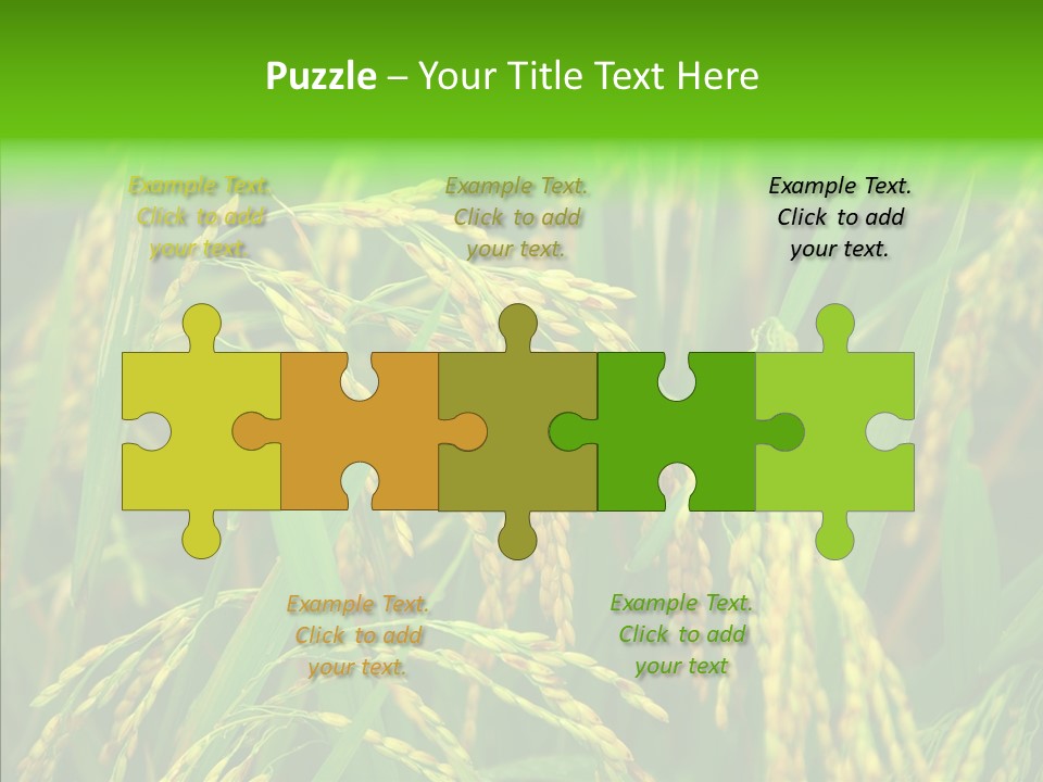 Yellow Paddy Cropland PowerPoint Template