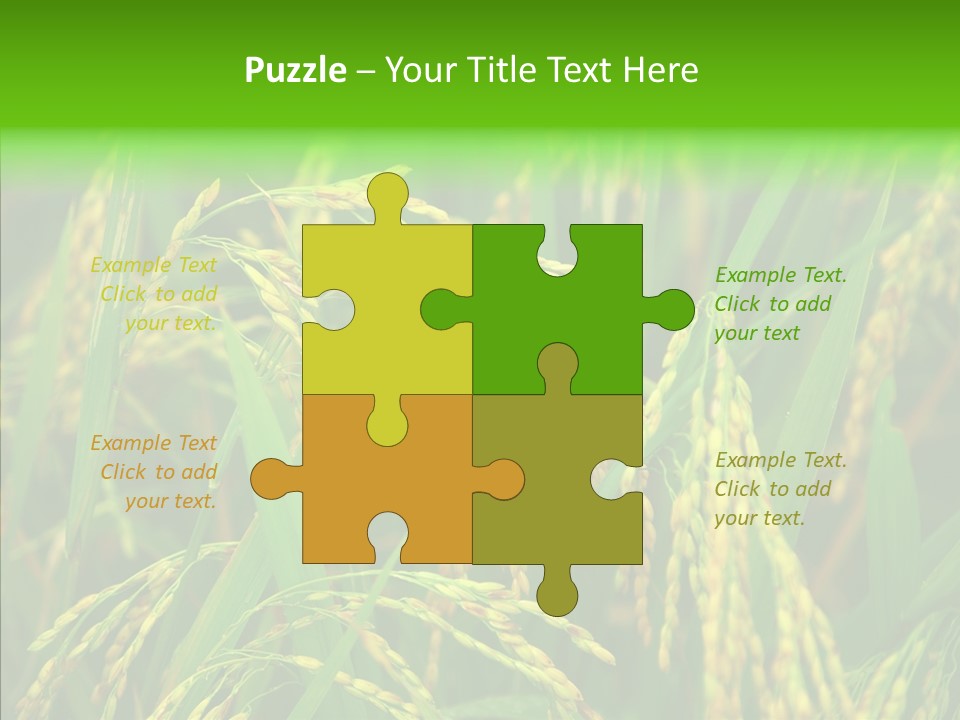 Yellow Paddy Cropland PowerPoint Template