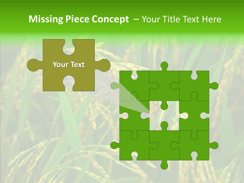 Yellow Paddy Cropland PowerPoint Template