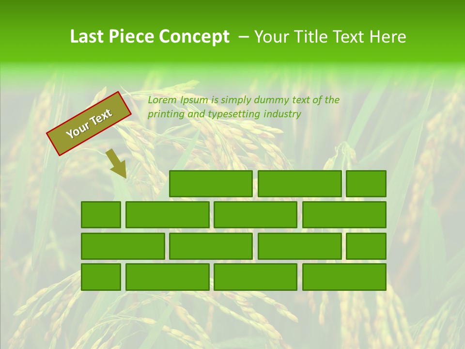 Yellow Paddy Cropland PowerPoint Template
