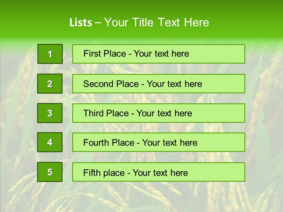 Yellow Paddy Cropland PowerPoint Template