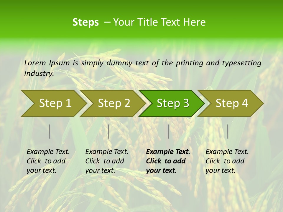 Yellow Paddy Cropland PowerPoint Template