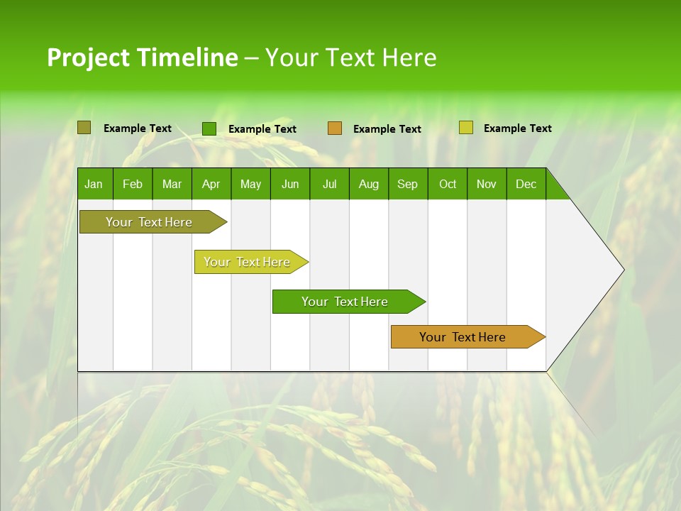 Yellow Paddy Cropland PowerPoint Template