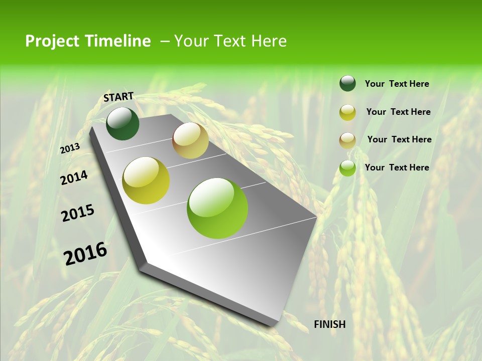 Yellow Paddy Cropland PowerPoint Template