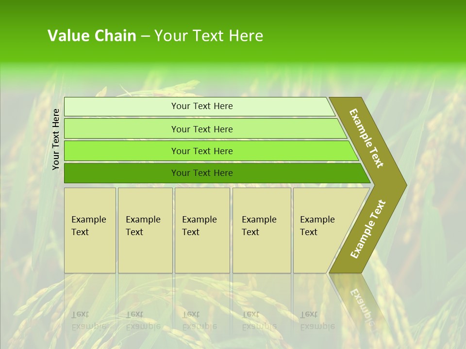 Yellow Paddy Cropland PowerPoint Template