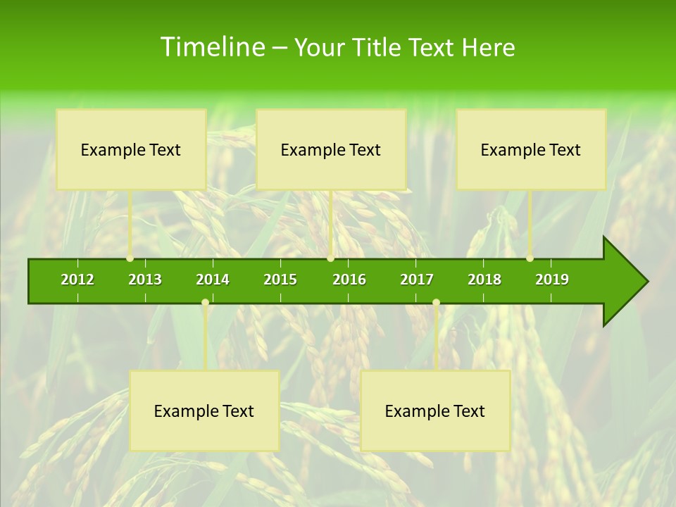 Yellow Paddy Cropland PowerPoint Template