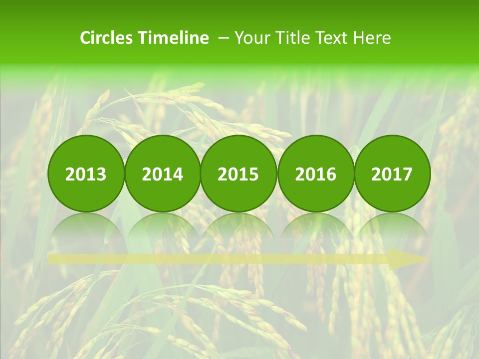 Yellow Paddy Cropland PowerPoint Template