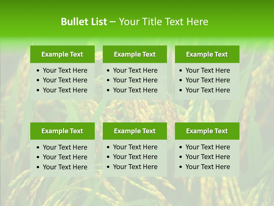 Yellow Paddy Cropland PowerPoint Template