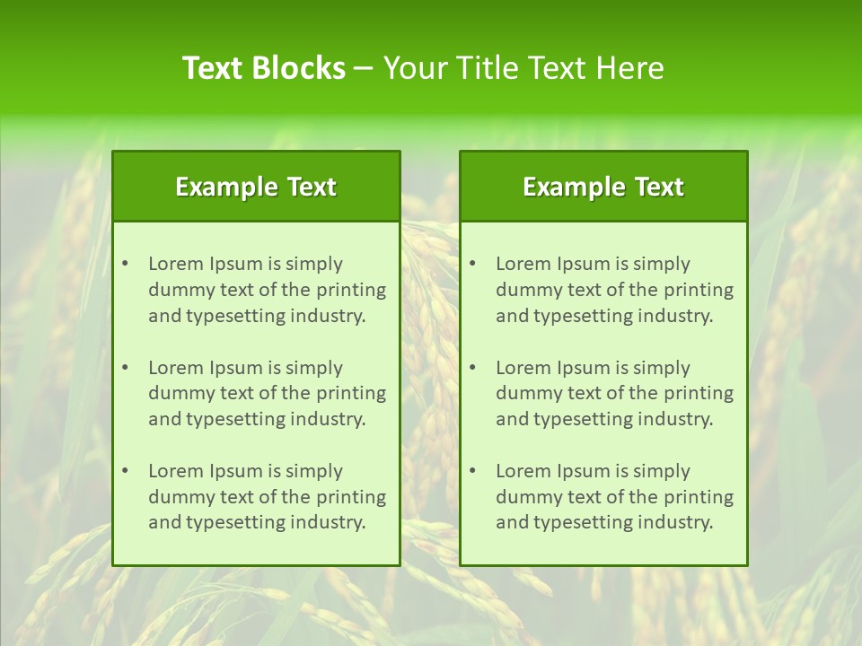 Yellow Paddy Cropland PowerPoint Template