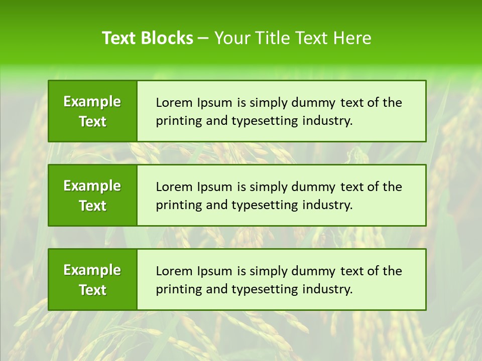 Yellow Paddy Cropland PowerPoint Template