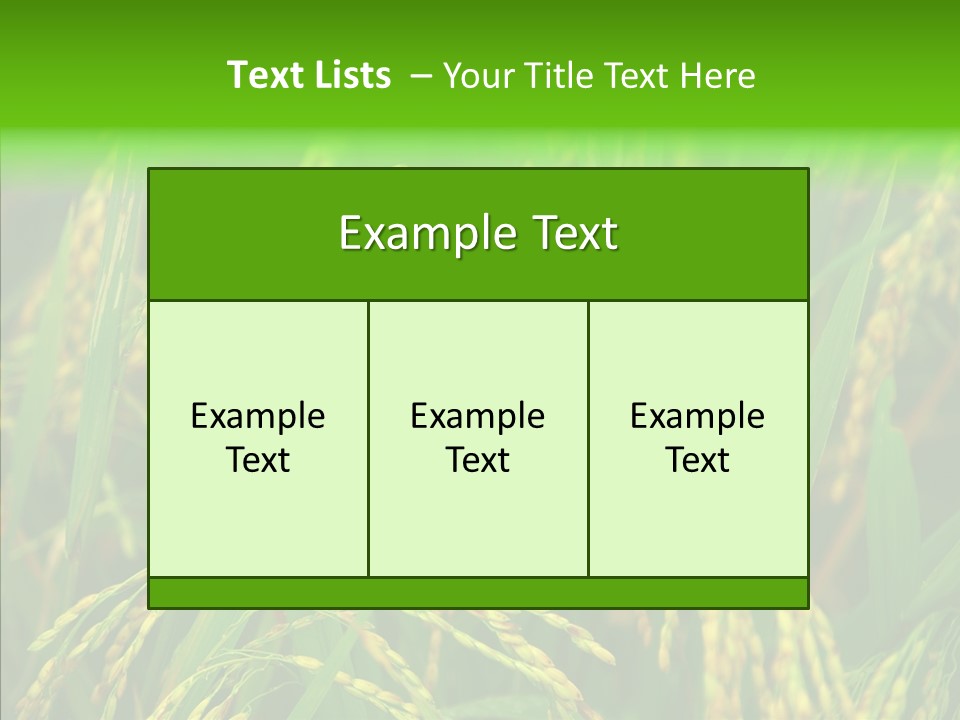 Yellow Paddy Cropland PowerPoint Template