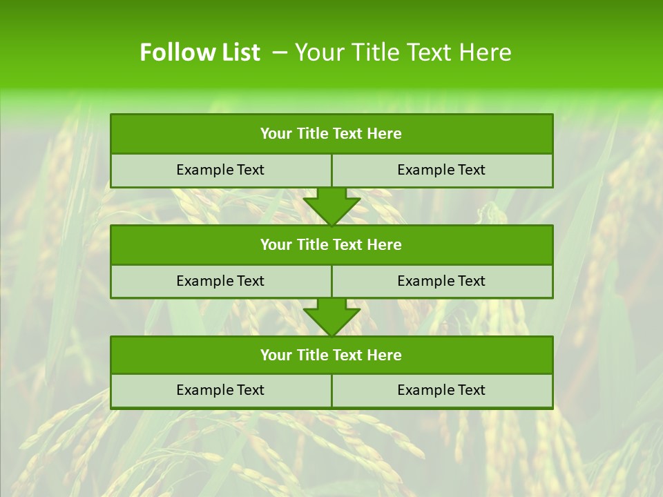 Yellow Paddy Cropland PowerPoint Template