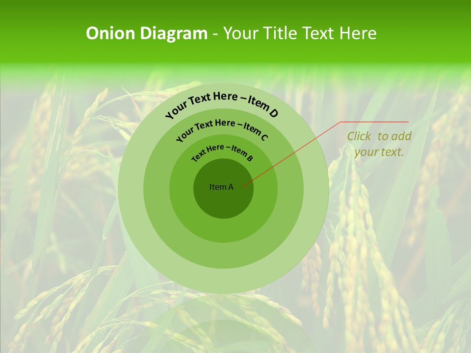 Yellow Paddy Cropland PowerPoint Template