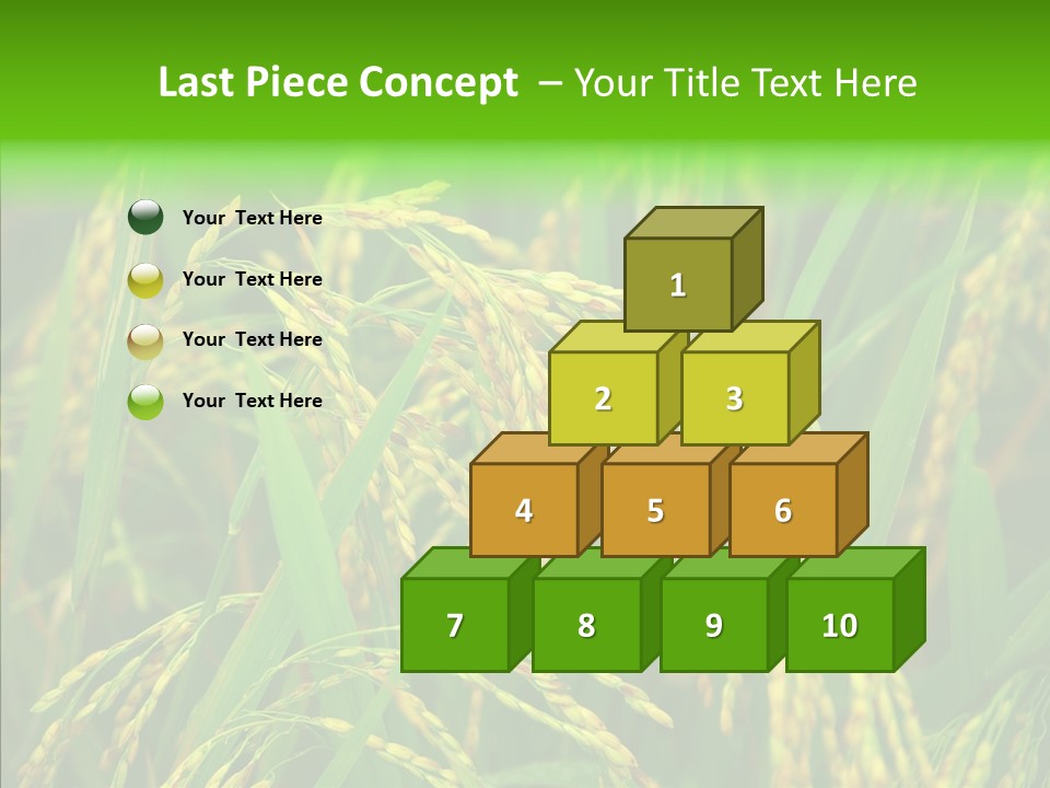 Yellow Paddy Cropland PowerPoint Template
