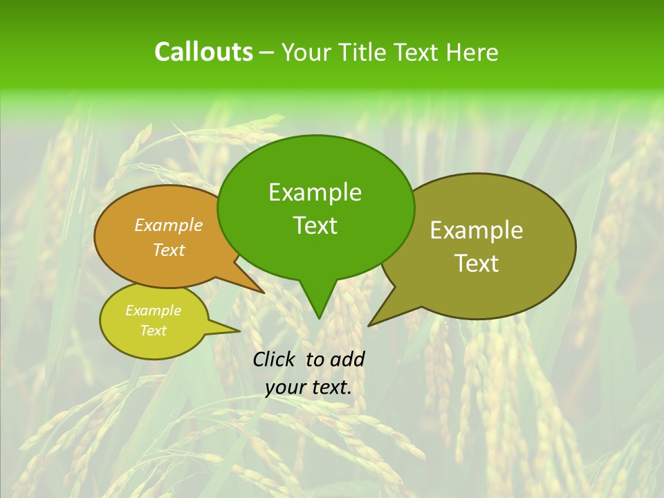 Yellow Paddy Cropland PowerPoint Template