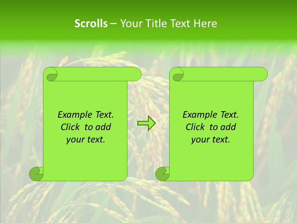 Yellow Paddy Cropland PowerPoint Template