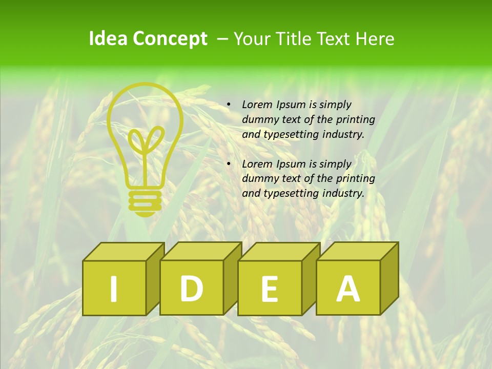 Yellow Paddy Cropland PowerPoint Template