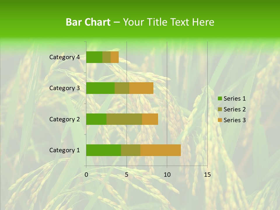 Yellow Paddy Cropland PowerPoint Template