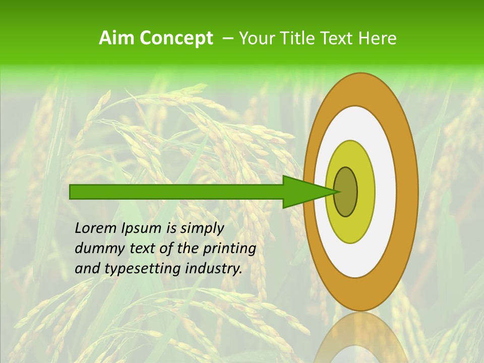 Yellow Paddy Cropland PowerPoint Template