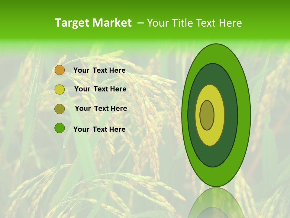 Yellow Paddy Cropland PowerPoint Template