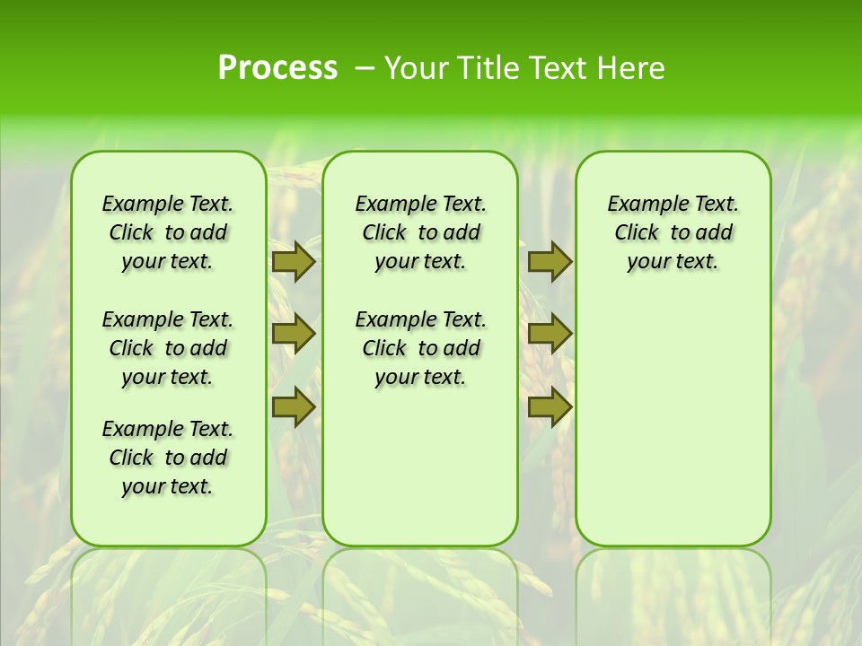 Yellow Paddy Cropland PowerPoint Template