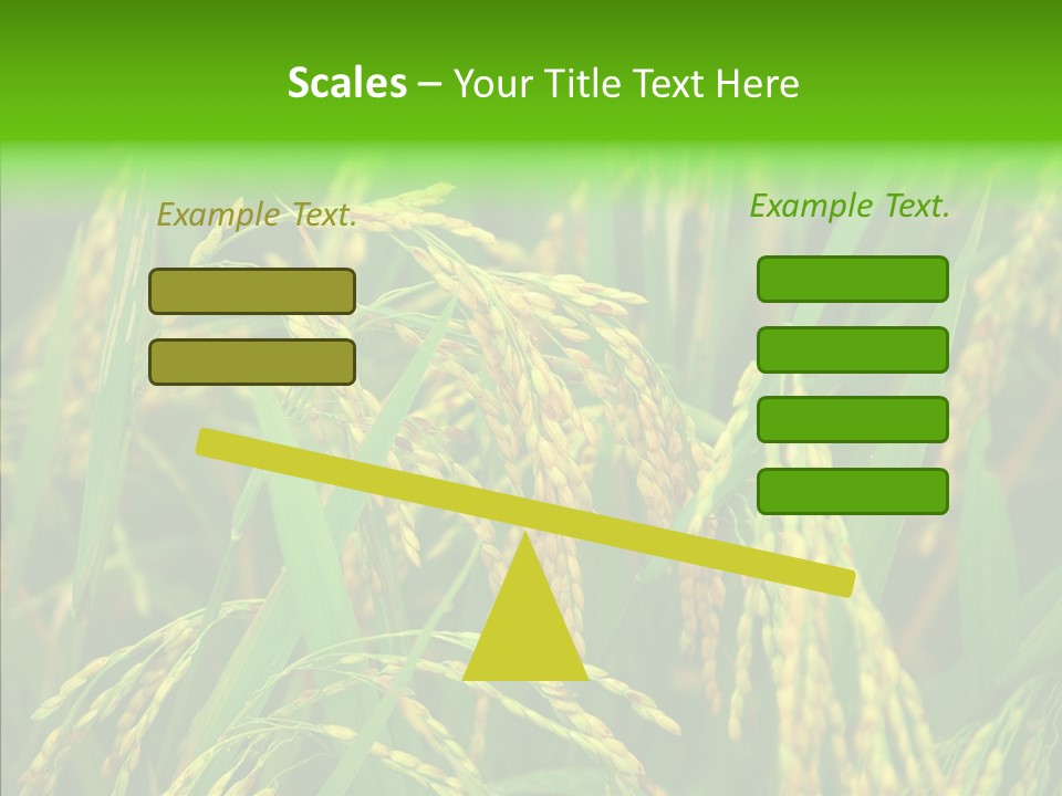 Yellow Paddy Cropland PowerPoint Template