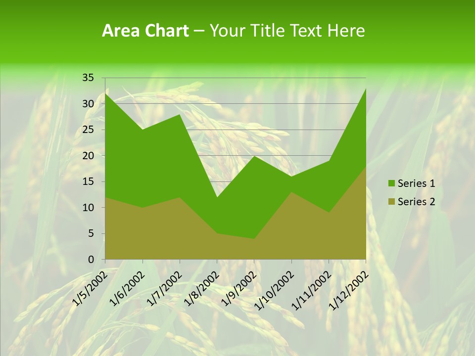 Yellow Paddy Cropland PowerPoint Template