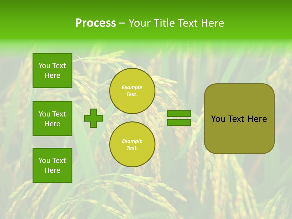 Yellow Paddy Cropland PowerPoint Template