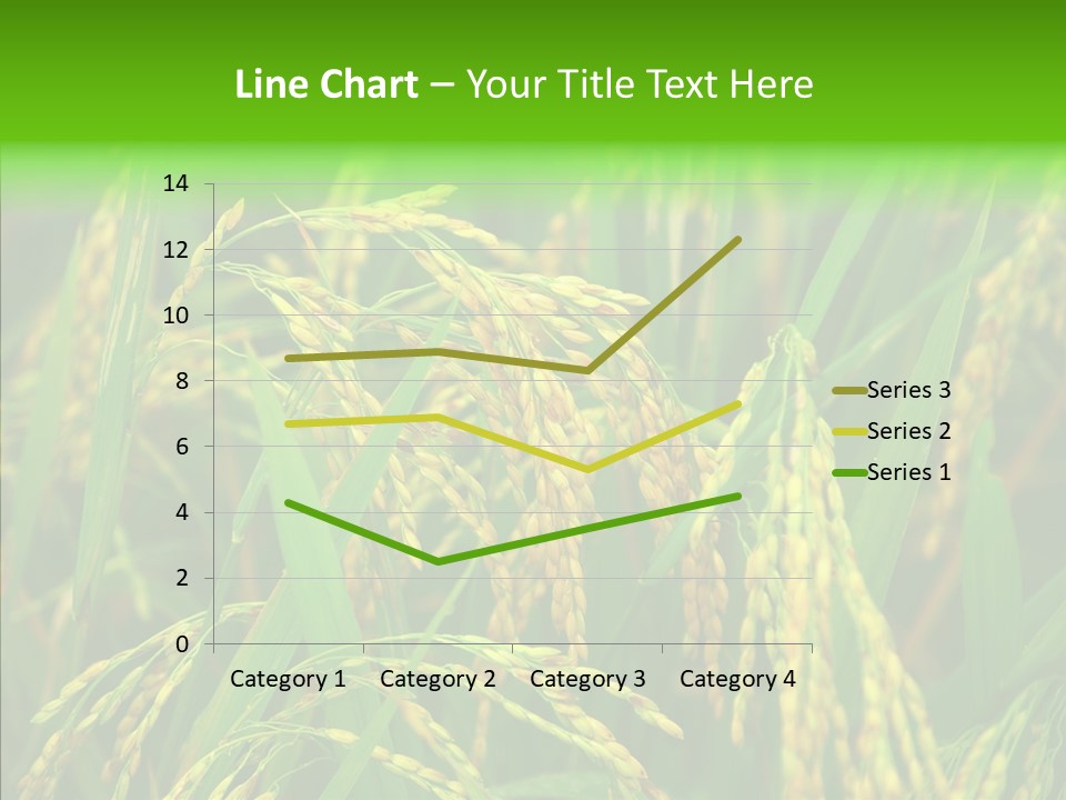 Yellow Paddy Cropland PowerPoint Template