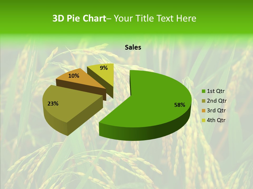 Yellow Paddy Cropland PowerPoint Template