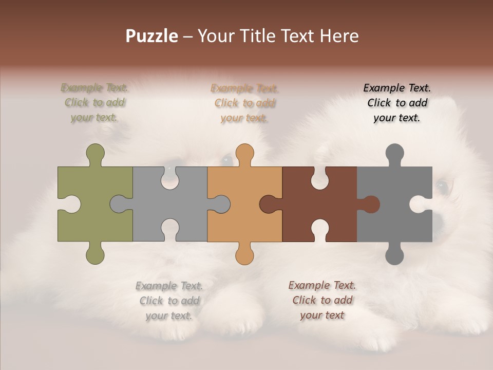 Pets Spitz Pomeranian PowerPoint Template