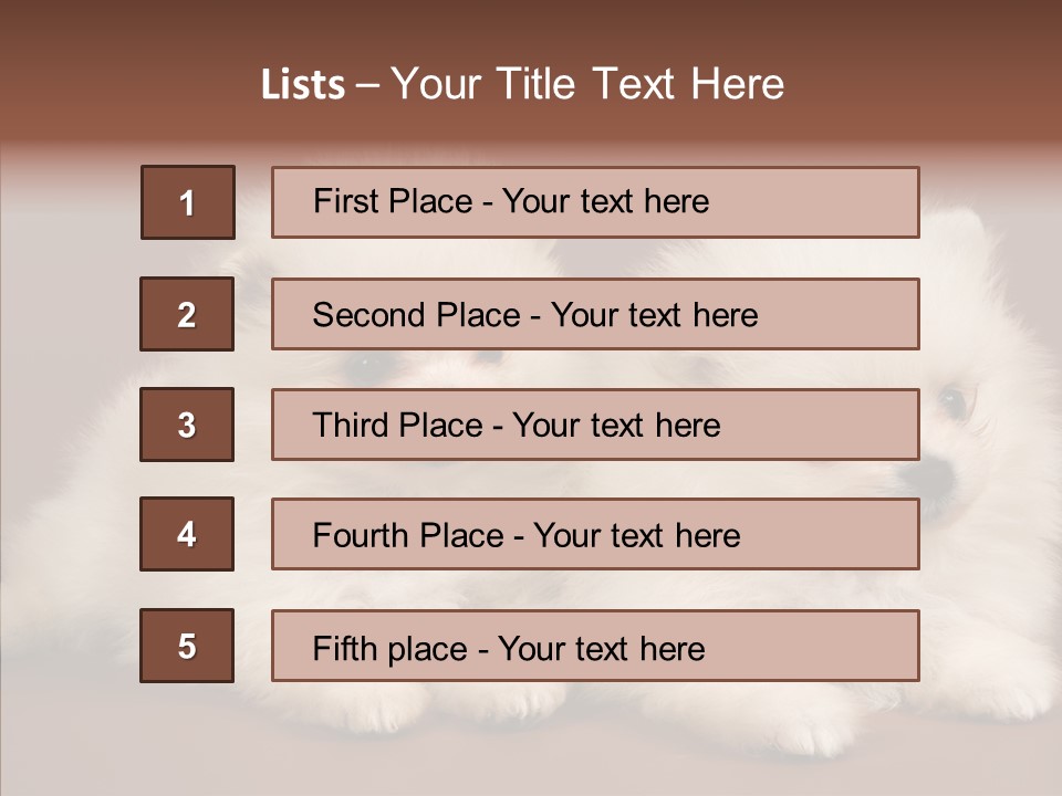 Pets Spitz Pomeranian PowerPoint Template