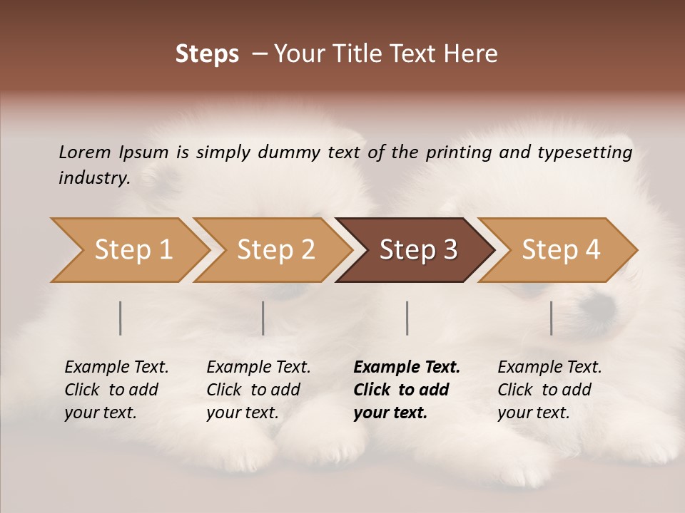 Pets Spitz Pomeranian PowerPoint Template