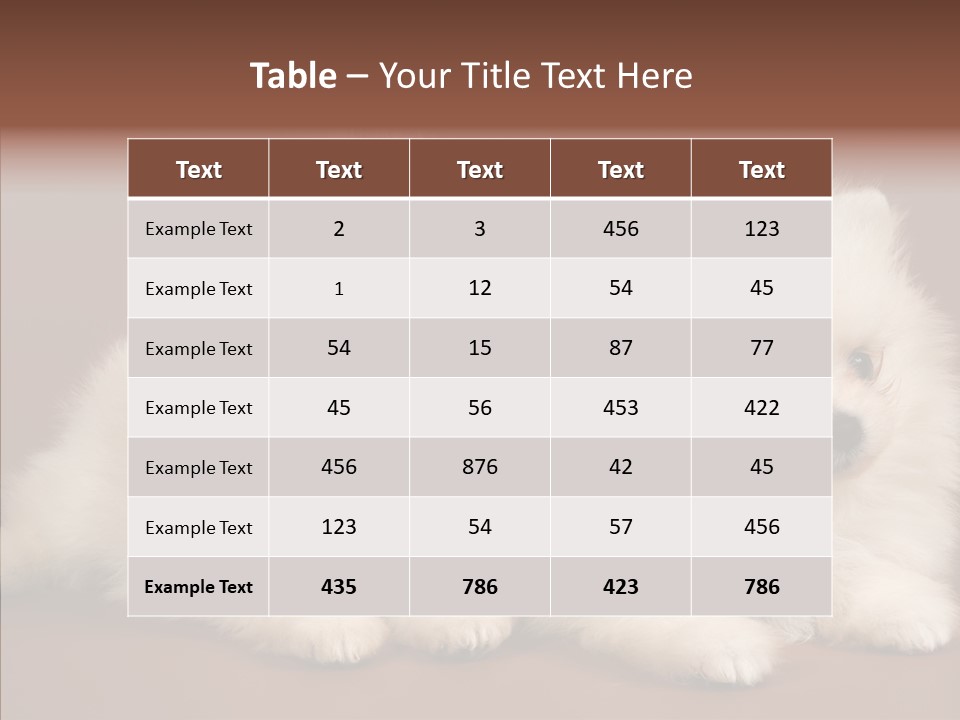 Pets Spitz Pomeranian PowerPoint Template