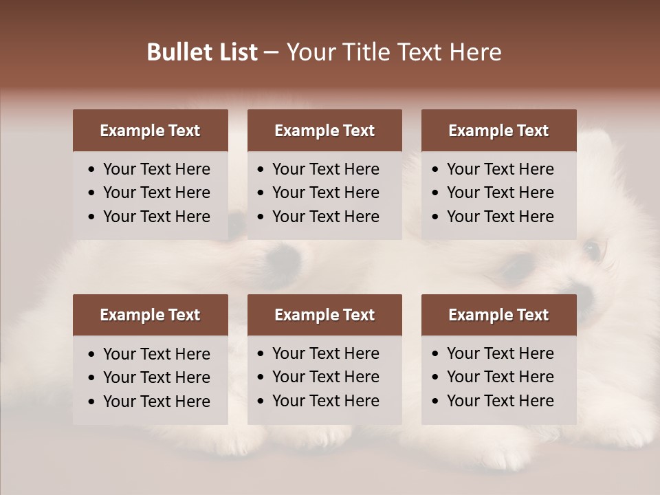 Pets Spitz Pomeranian PowerPoint Template