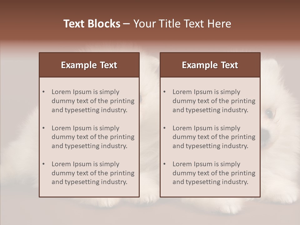 Pets Spitz Pomeranian PowerPoint Template