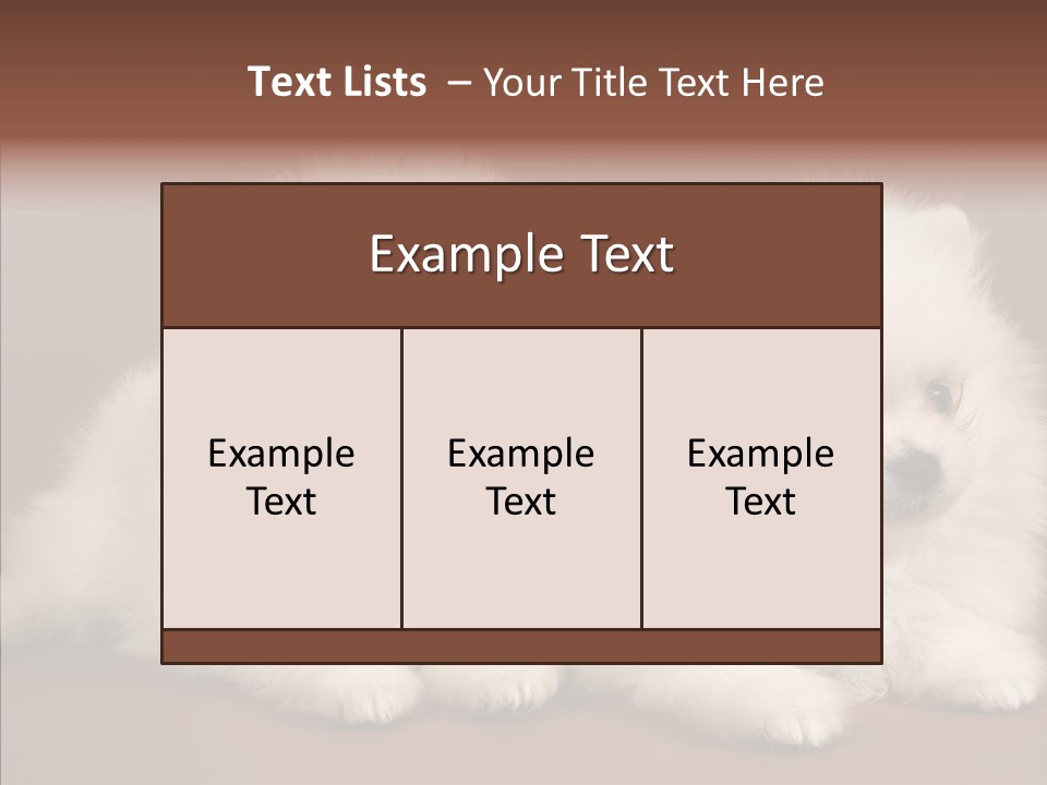 Pets Spitz Pomeranian PowerPoint Template