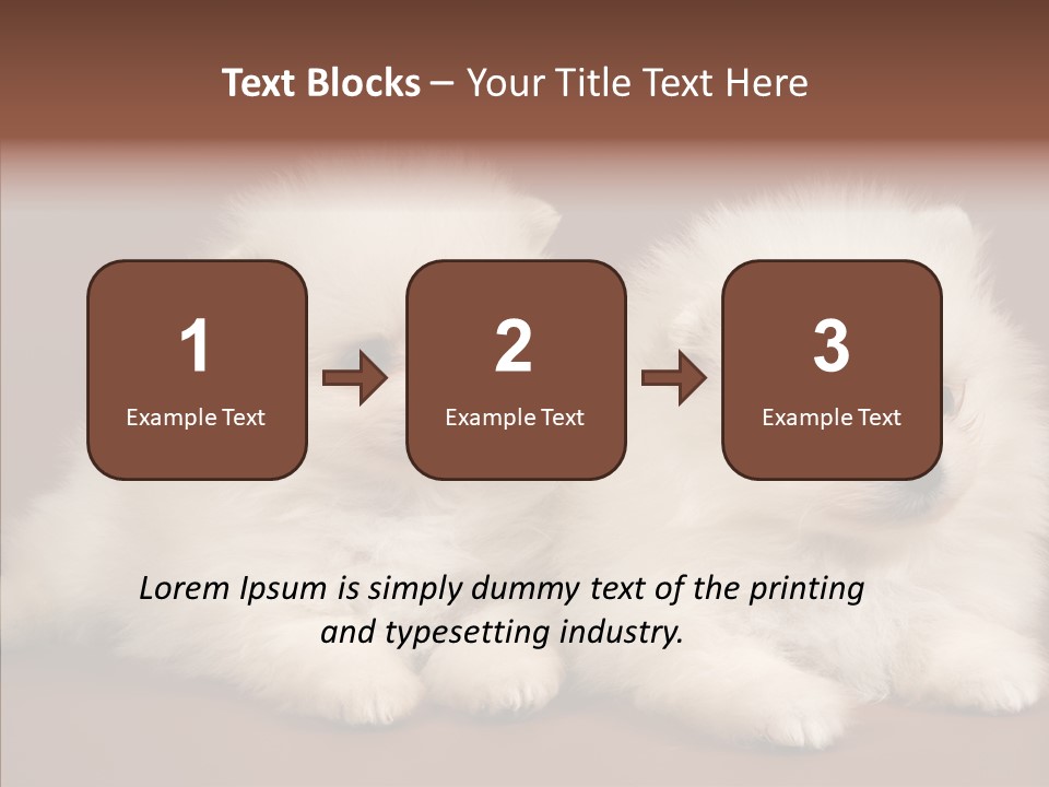 Pets Spitz Pomeranian PowerPoint Template