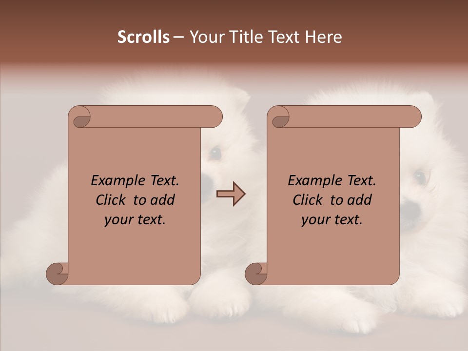 Pets Spitz Pomeranian PowerPoint Template