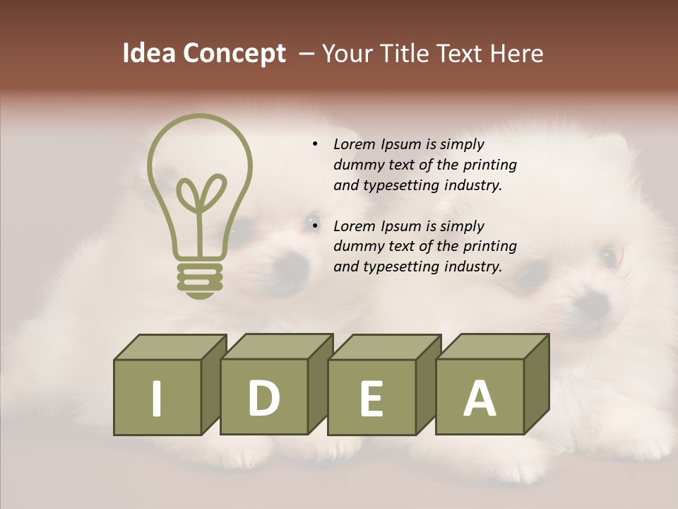 Pets Spitz Pomeranian PowerPoint Template