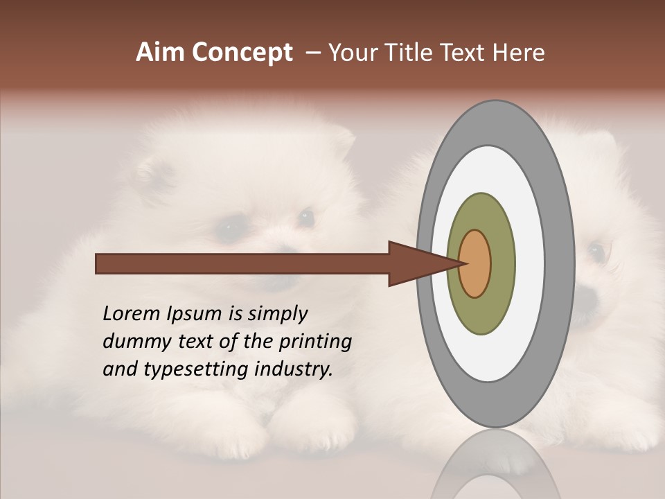 Pets Spitz Pomeranian PowerPoint Template