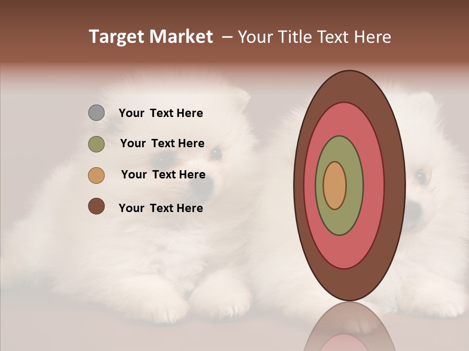 Pets Spitz Pomeranian PowerPoint Template