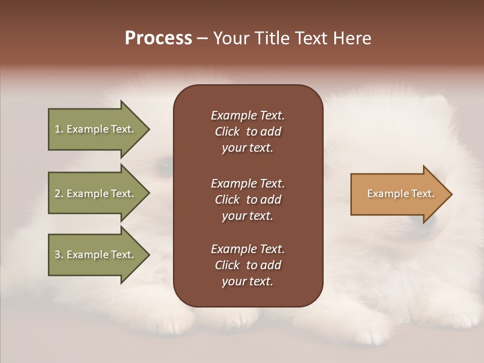 Pets Spitz Pomeranian PowerPoint Template