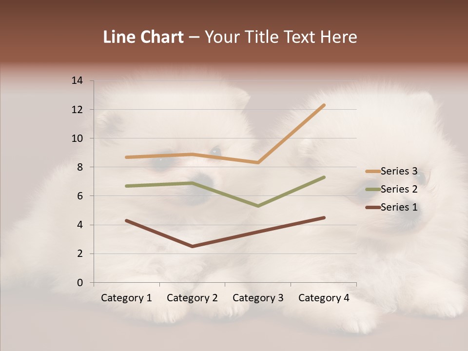 Pets Spitz Pomeranian PowerPoint Template