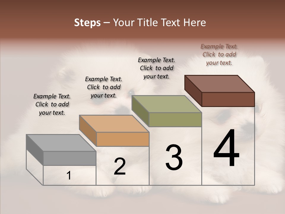 Pets Spitz Pomeranian PowerPoint Template